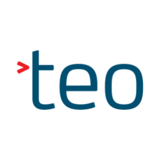 TEO - Delivering high-quality and sustainable software solutions logo